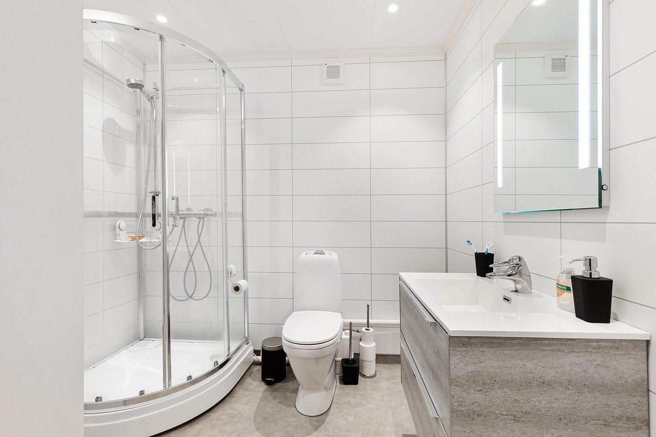 Glass Shower Door